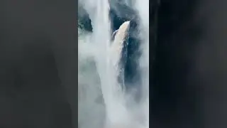 jog falls