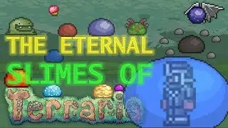 THE ETERNAL SLIMES OF TERRARIA || Lore Store