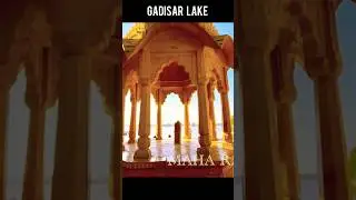 Peaceful Gadisar Lake | Rajasthan Travel Shorts 💛🏜️#trending #shorts #viralvideo