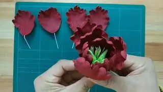 Armado de peonia