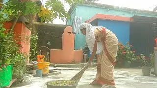 ব্লিচিং পাউডার দিয়ে বাড়ির উঠানে শ্যাওলা পরিষ্কার করলাম /  how to clean floor with bleaching powder