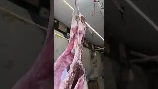 #FreshMeat #HygienicMeat Fresh & Hygienic Meat in Patna Vaishali Mutton & Chicken