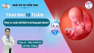 Thai 12 tuần: 12 tuần biết trai hay g&aacute;i chưa | Sự ph&aacute;t triển của thai nhi 12 tuần | Bs. L&ecirc; Hữu Thắng