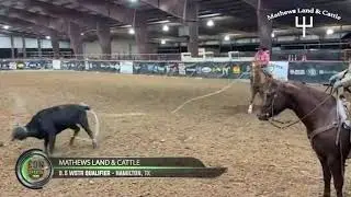 EQN Sports Live Coverage - Mathews Land & Cattle 9.5 Team Roping