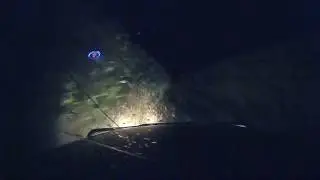 И так каждый вечер | Great Wall Deer 4x4 | DkTank