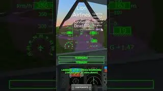 Lion 122 Crashed on US Army