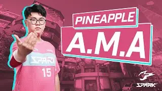 PINEAPPLE: ASK ME ANYTHING
