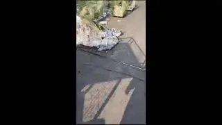 POV Dog Market Walkthrough | Real-Time Puppy Viewing | Live Market Atmosphere