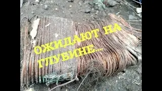 МЕТАЛЛОКОП 2019...