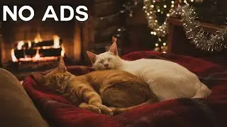 Sleeping Music for Cats 🐾 Soothing Sounds for Deep Relaxation & Keep Your Kitty Happy