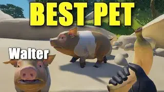 Sea of Thieves - Walter, the GOLDEN Pig