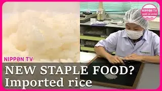 New staples? How a bento stand in Tokyo keeps its lunchboxes at 2 USD amid inflation