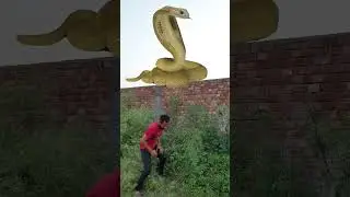 funny snake vfx #shorts