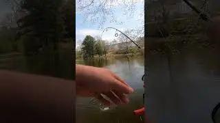 Ultralight crappie fishing
