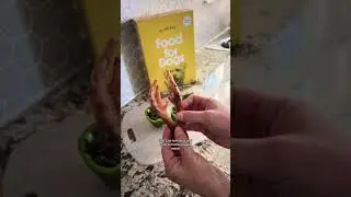 DIY Frozen Dog Treat Recipe with Bell Pepper &