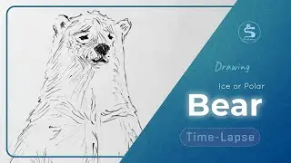 Polar Bear Drawing | Relaxing Animal Sketch Time-Lapse