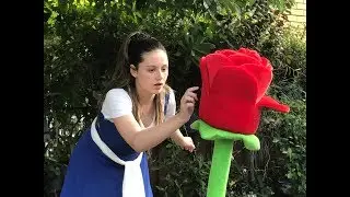Beauty and the Beast Delfer Entertainment