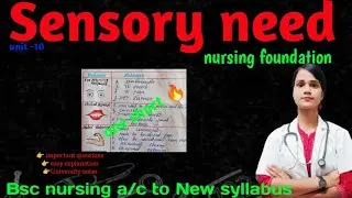 Sensory need nursing foundation in one short 🔥 Bsc nursing