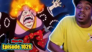 We've Separated The Emperors! One Piece Ep 1026 Reaction