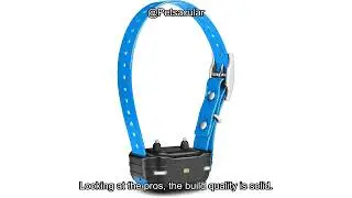 Garmin PT10 Dog Collar Review: Does It Deliver Reliable Training and Bark Control?