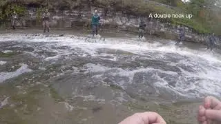 Steelhead Fly Fishing Tips Walnut Creek Erie Pa 11 2 2017