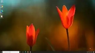 Windows: Restoring sticky notes from online sync account (cloud) in Windows using Notezilla
