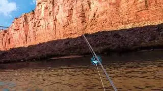 REAL VR FISHING