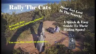 Let's Find All The Lost Kittens! - Rally The Cats - Where Winds Meet (4K)