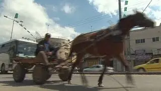 West bank, Gaza are worlds apart