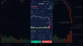 XRP Historic Panic Sell 12/23