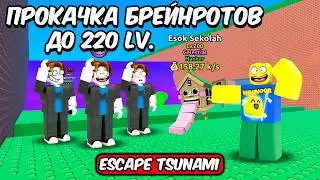 🔥ПРОКАЧКА БРЕЙНРОТОВ ДО 220 LV СПАСТИСЬ ОТ ЦУНАМИ ESCAPE TSUNAMI FOR BRAINROTS ROBLOX!🔥 #shorts