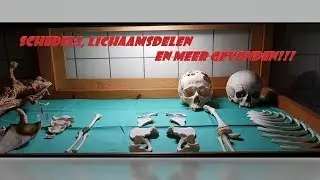 School of Skulls! lichaamsdelen, schedels en botten gevonden!!