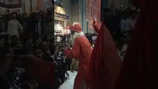 #Dhamaal #Qalandar #Sufi #reels #youtube #youtubeshorts