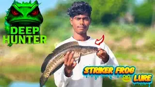 💥Deep Hunter striker frog 🐸 lure review ⁉️| Snakehead fishing caught | @Tn67_Snakehead_Angler 