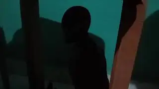 Acoisa o FILME