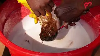 How to make liquid soap 