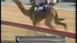 اغنية ضو ميحد حمد