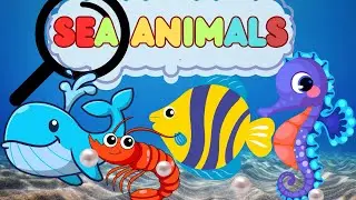 Learn Sea Animals for Kids | Fun Ocean Adventure for Preschool & Homeschool Learning!