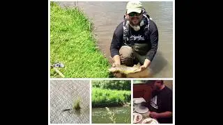 Flyfishing Potter County 2017