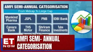 Which Stocks Have Changed In AMFI's Semi-Annual H2CY23 Classification? | ET Now