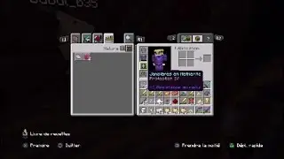 Defi Minecraft avec bubull