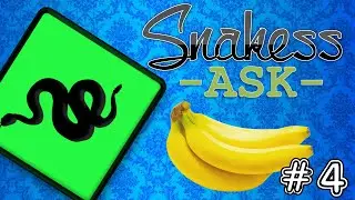 Snakess Ask | #4 | Ban&aacute;ny