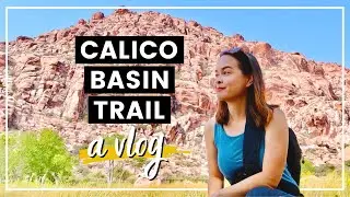 CALICO BASIN RED ROCK CANYON | Las Vegas Hiking Trails