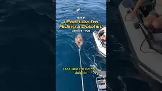 I FEEL LIKE I&rsquo;M RIDING A DOLPHIN #nauticaladventure #travel #sailing #dailyvlog #oceanadventure