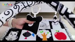 Custom Soft Toy Manufacturing: From Your Design to Our Production Line | OEM/ODM Welcome