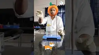 How to make hydrogen gas. #experiment #shortvideos #video #fact #science