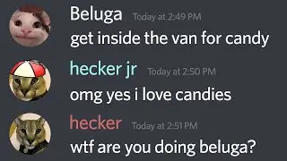Beluga kidneps hecker jr (sad)