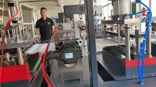 Automatic Plastic Disposable Cup Lid Bowl Tray Container Thermoforming Making Machine