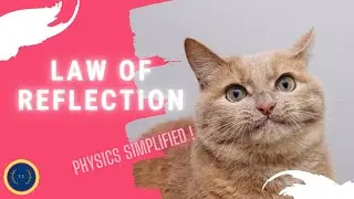 Emsat Physics Revision & Practice:Law of Reflection Simplified