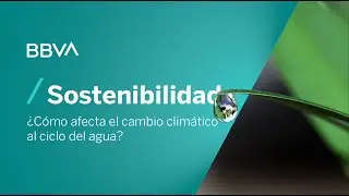 &iquest;C&oacute;mo afecta el cambio clim&aacute;tico al ciclo del agua? | P&iacute;ldoras de sostenibilidad